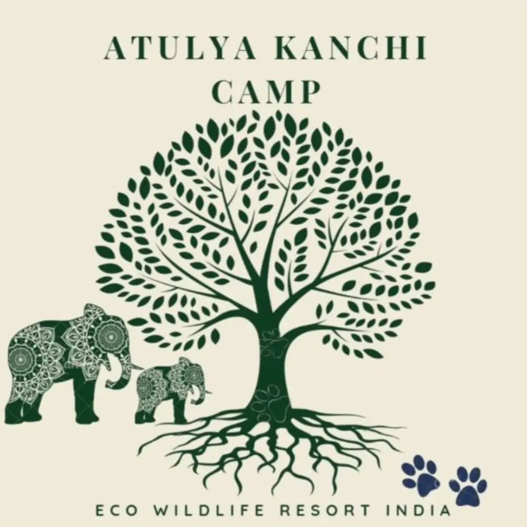 5f6c1683-9647-40c2-8645-a2dd90377e86